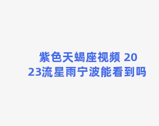 紫色天蝎座视频 2023流星雨宁波能看到吗